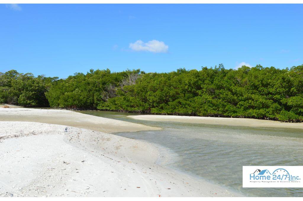 Hausverwaltung Cape Coral - Home 24-7 Tipps: Die besten Strände in Cape Coral - Platz 4: Lovers Key State Park